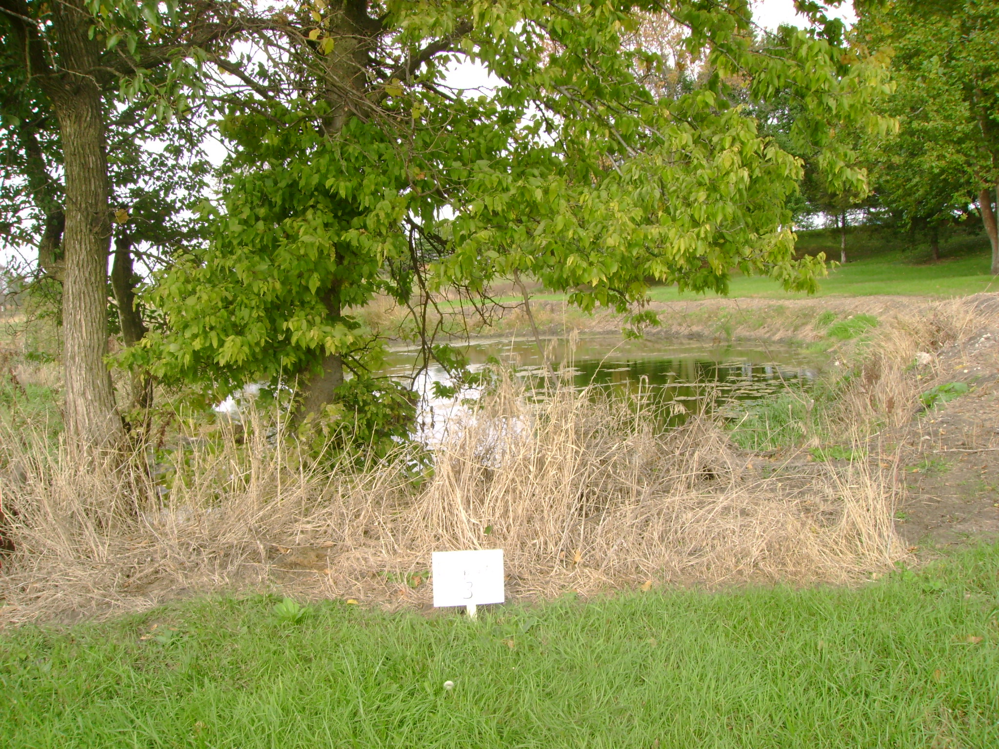 Site 3