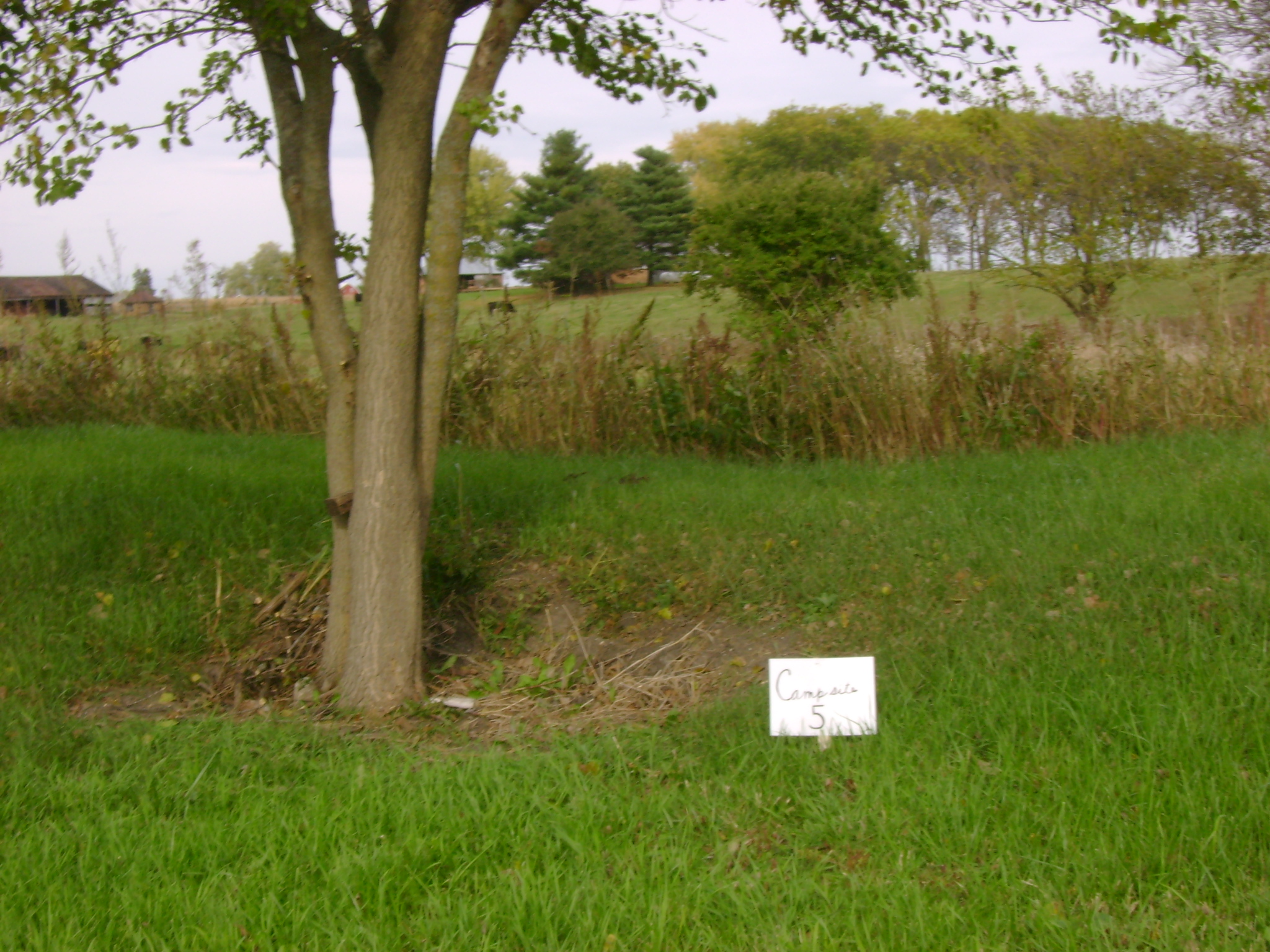 Site 5