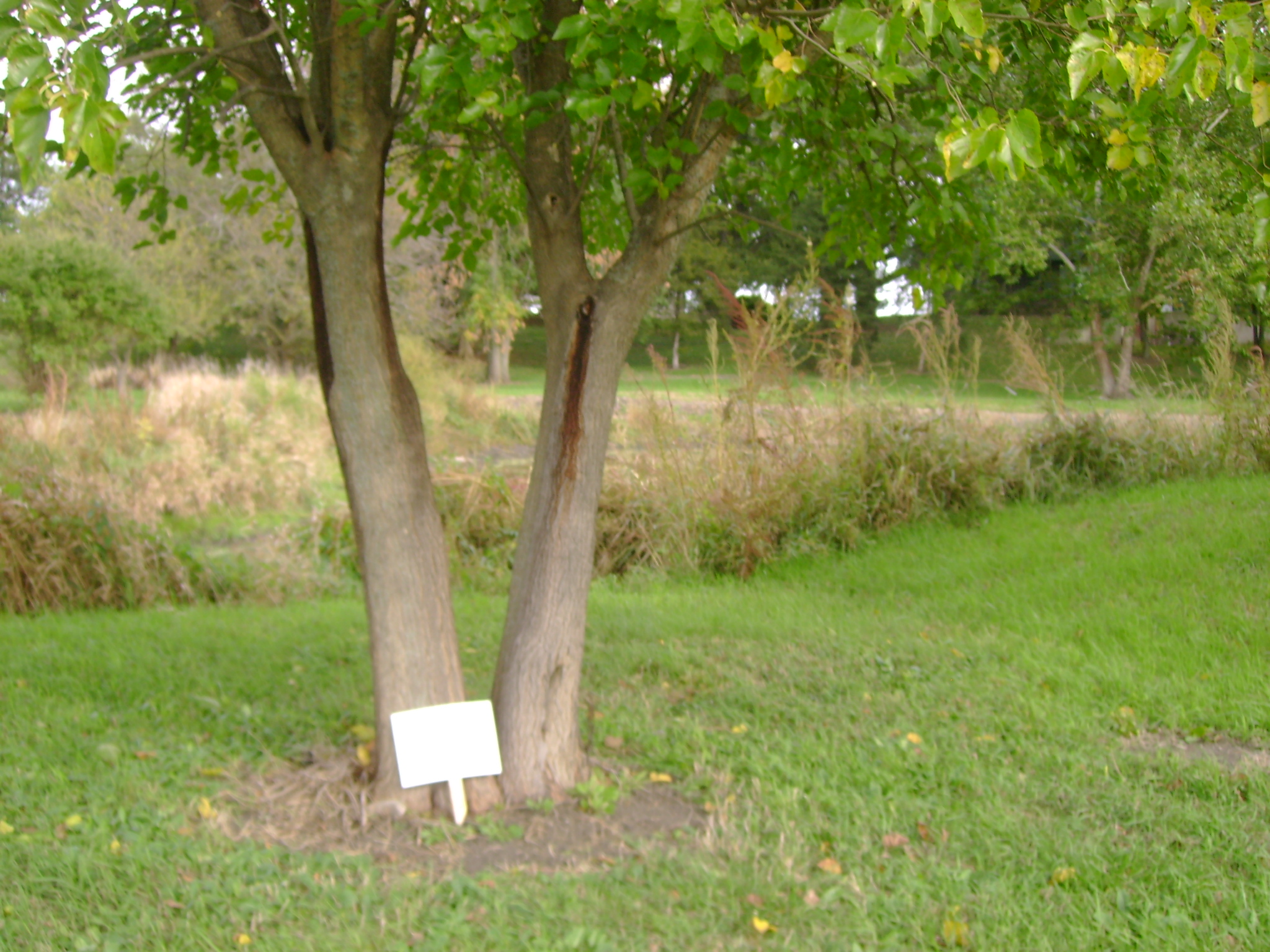 Site 7