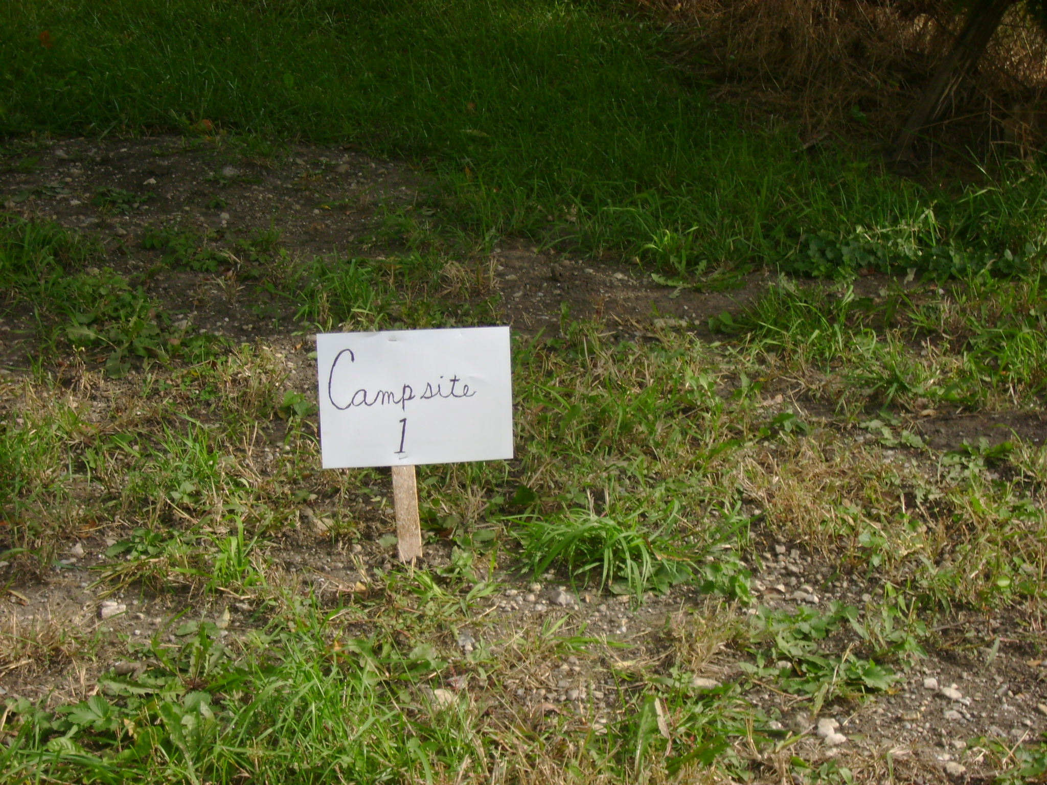 Site 1